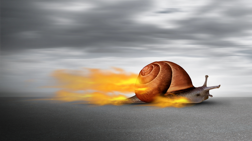 Snail On Fire